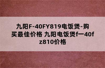 九阳F-40FY819电饭煲-购买最佳价格 九阳电饭煲f一40fz810价格